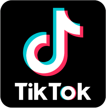 TikTok Portal Curiozinho